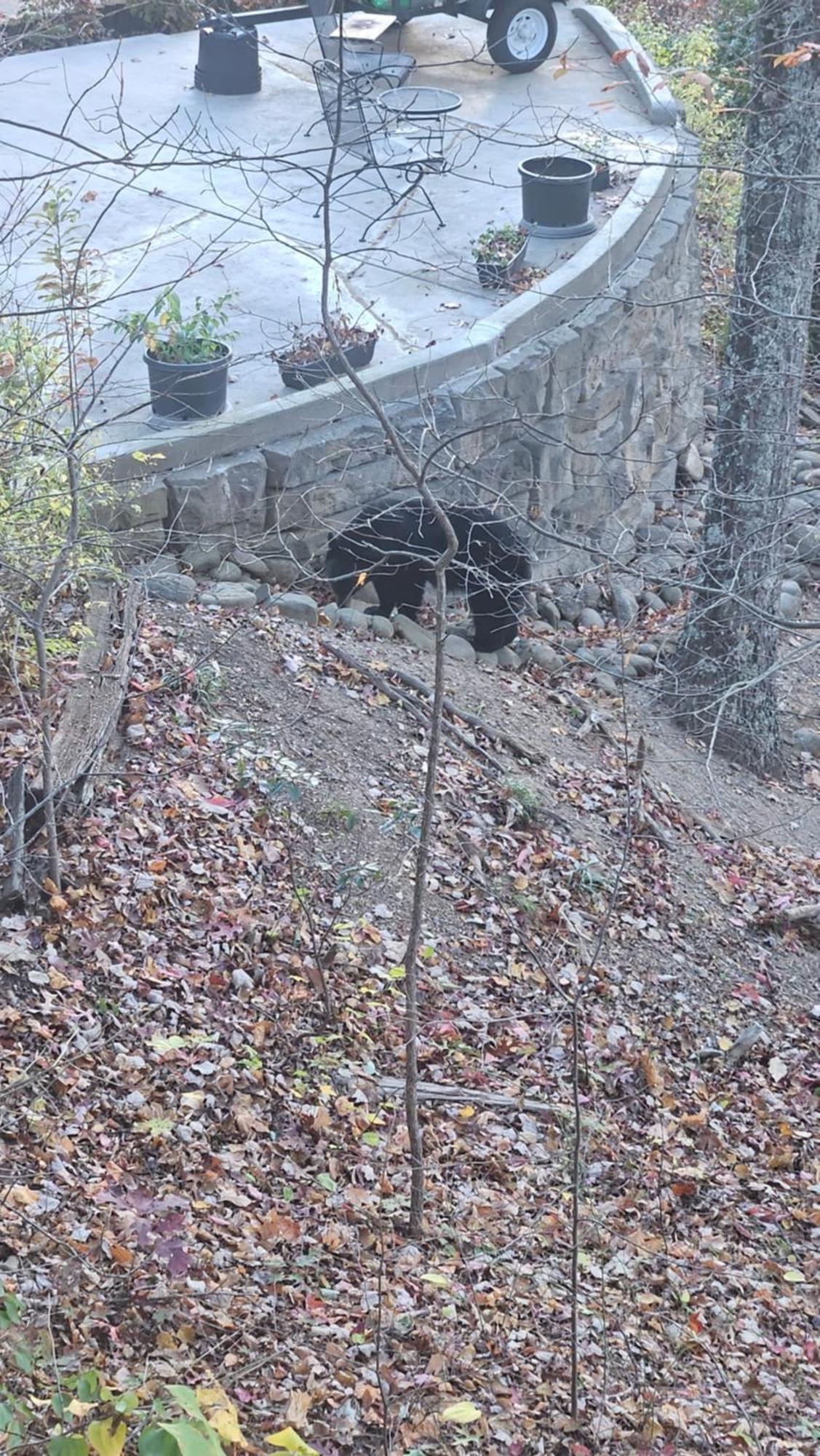 Southern Oak At Chalet Village - 5 Minutes From Gatlinburg And National Park Dış mekan fotoğraf